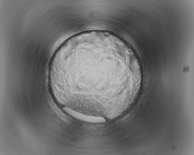 X0000110701179200907101214