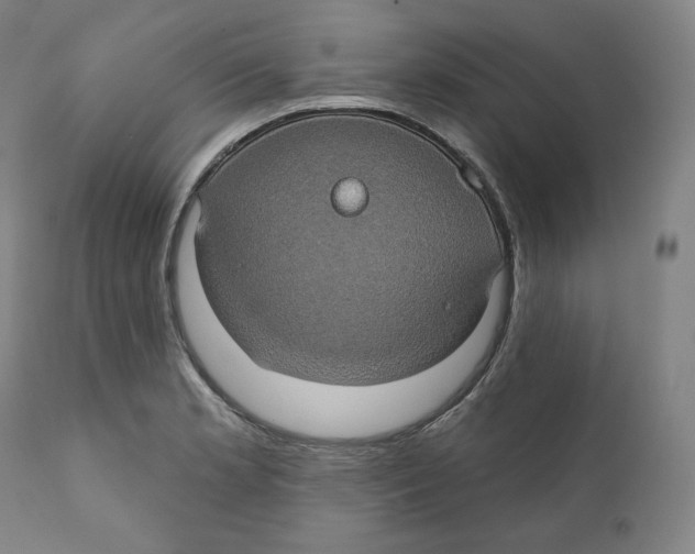 X0000110701181200907101214