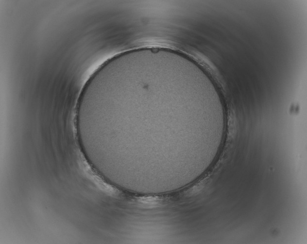 X0000110701182200907101214