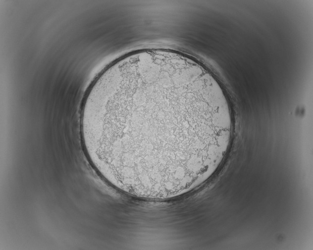 X0000110701184200907101214