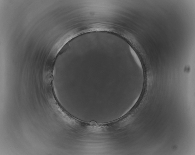 X0000110701185200907101213