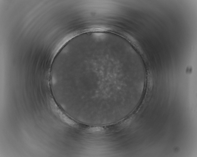 X0000110701186200907101213