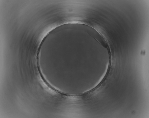 X0000110701189200907101213