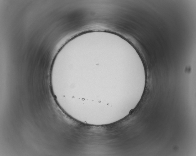 X0000110701191200907101213