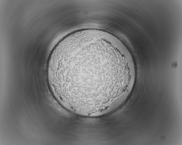 X0000110701192200907101213