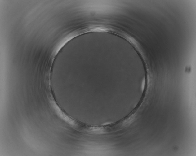 X0000110701194200907101213