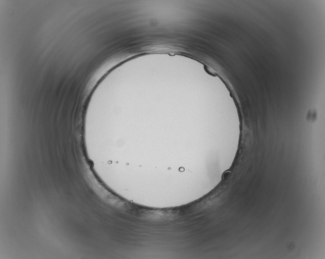 X0000110701195200907101213