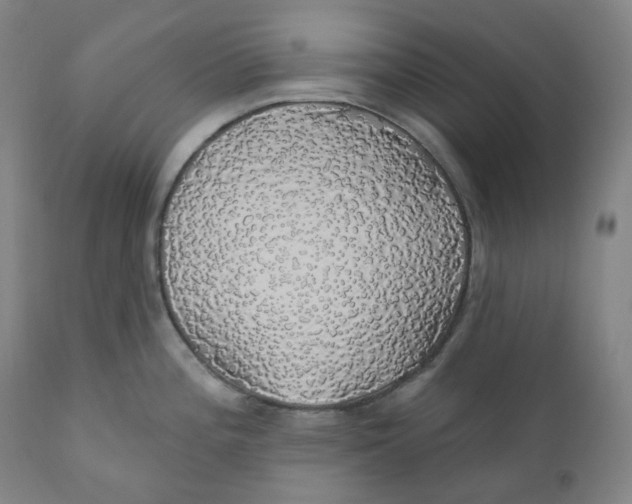 X0000110701196200907101213