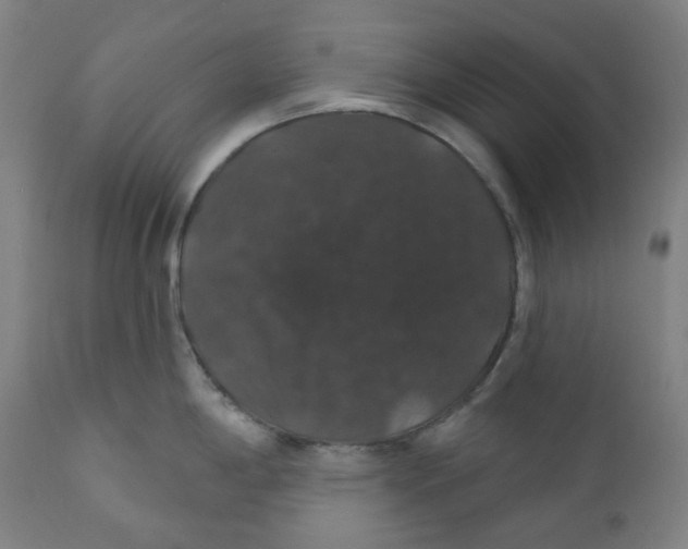 X0000110701198200907101213