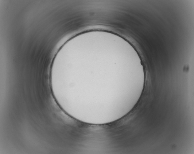 X0000110701199200907101213