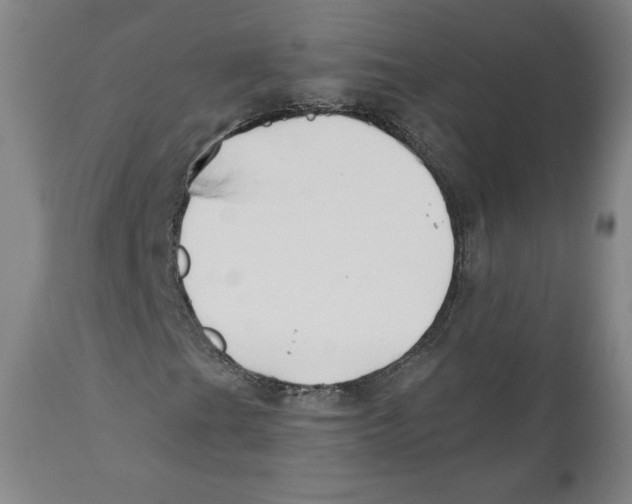X0000110701201200907101212