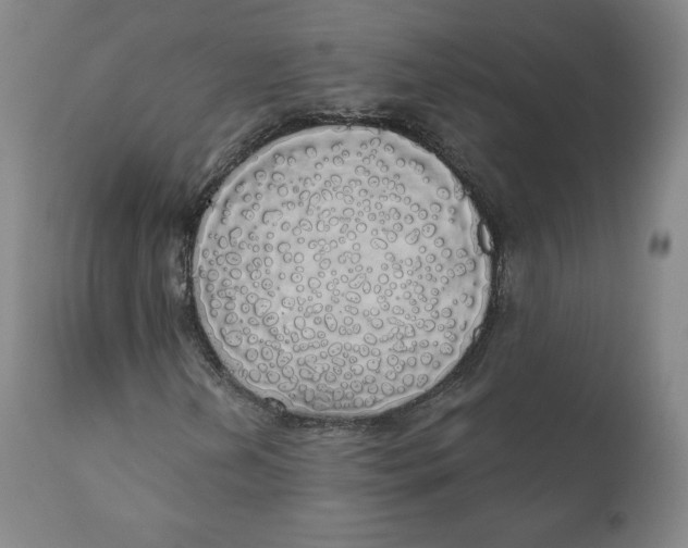 X0000110701202200907101212