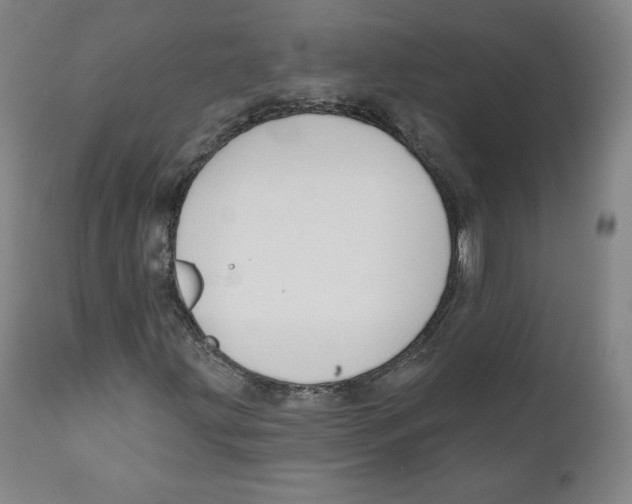 X0000110701203200907101212