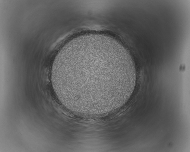 X0000110701205200907101213