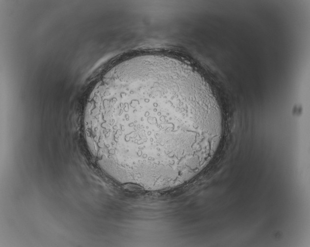 X0000110701206200907101213