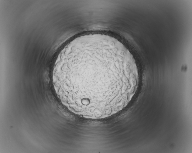 X0000110701209200907101213