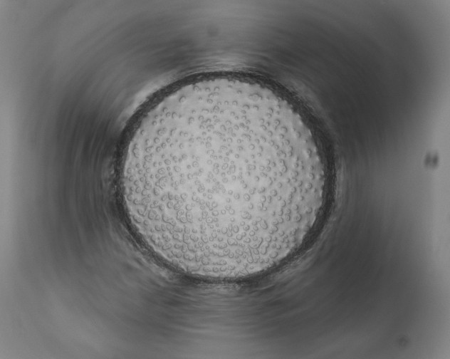 X0000110701210200907101213