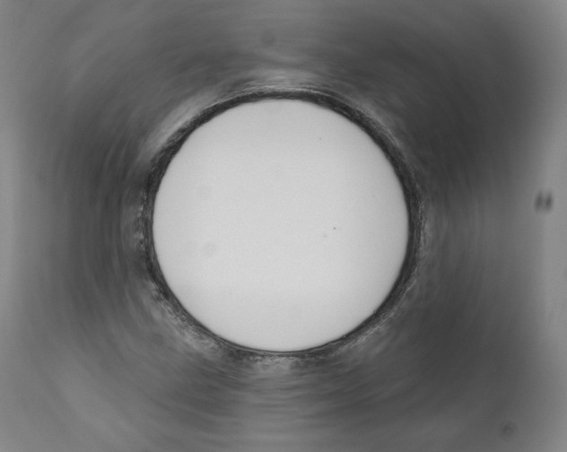 X0000110701211200907101213
