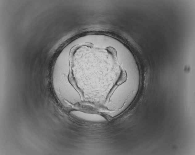 X0000110701213200907101213
