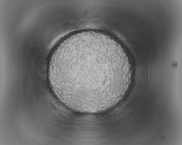 X0000110701214200907101213
