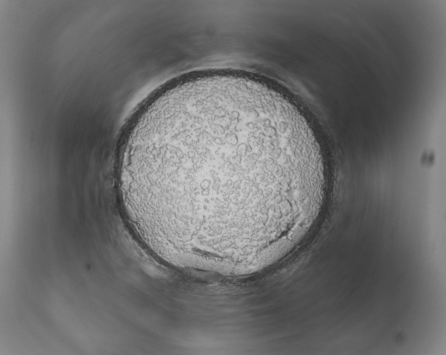X0000110701216200907101213