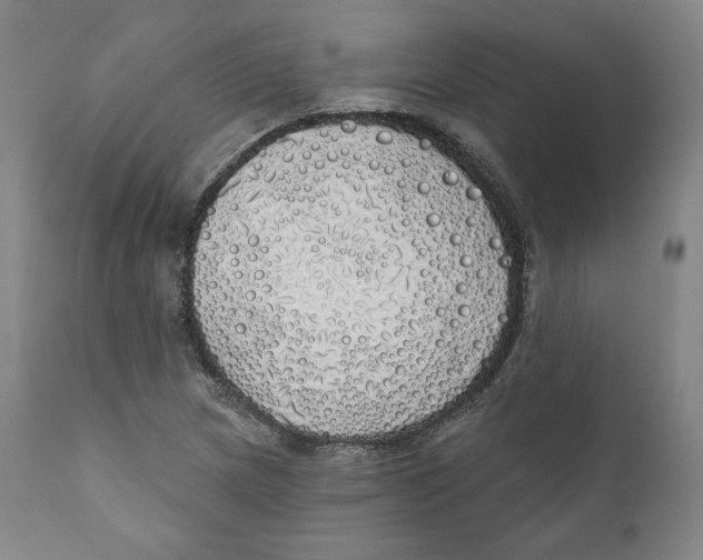 X0000110701217200907101213