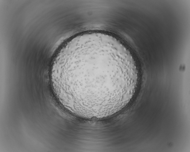 X0000110701218200907101213