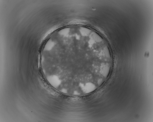 X0000110701219200907101213