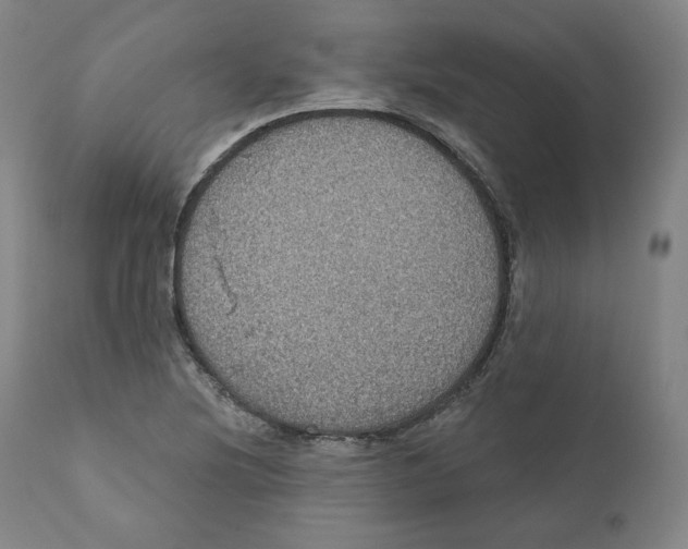 X0000110701220200907101213