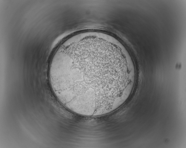 X0000110701222200907101213
