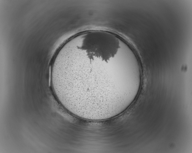X0000110701223200907101213