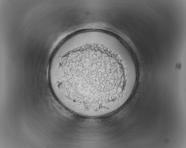 X0000110701224200907101213