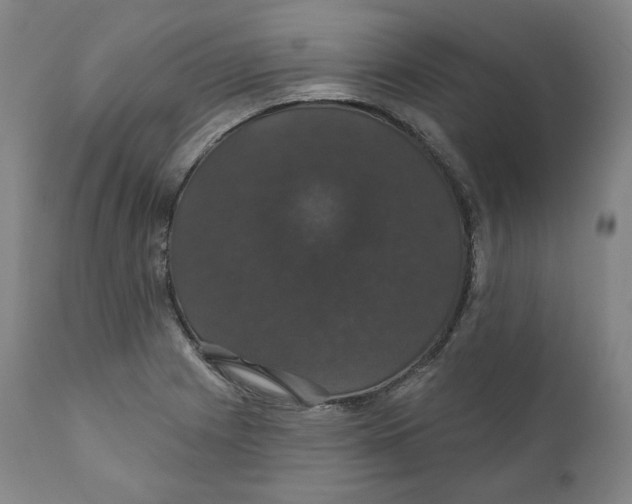 X0000110701225200907101213