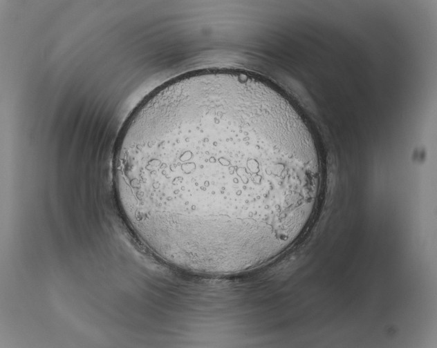 X0000110701226200907101213