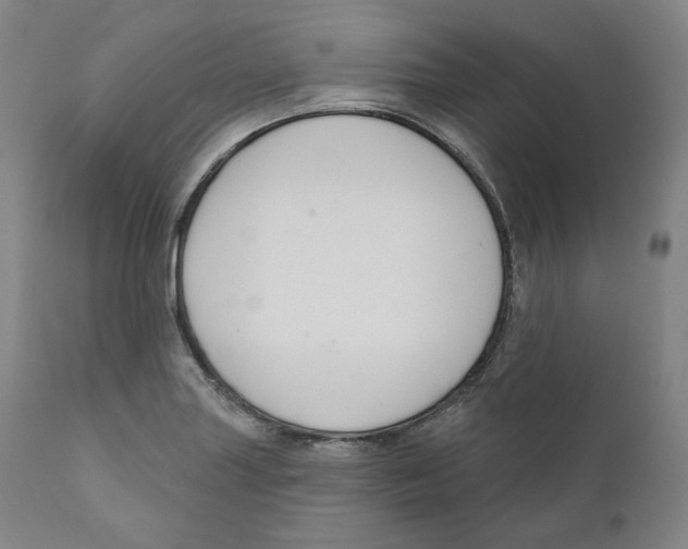 X0000110701227200907101213