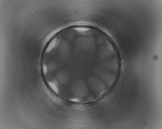 X0000110701229200907101213