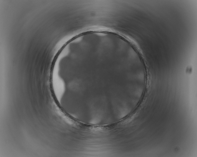 X0000110701231200907101213