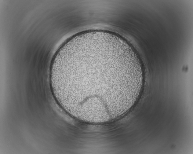 X0000110701232200907101213
