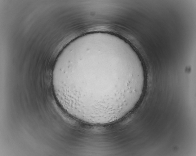 X0000110701233200907101213
