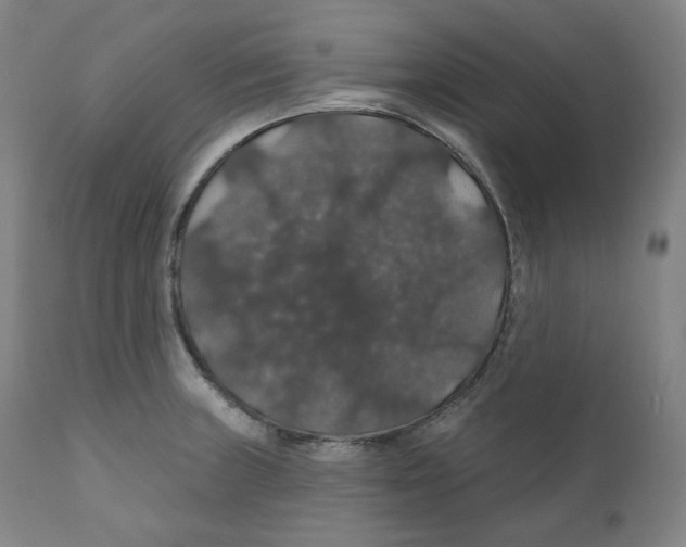 X0000110701235200907101213