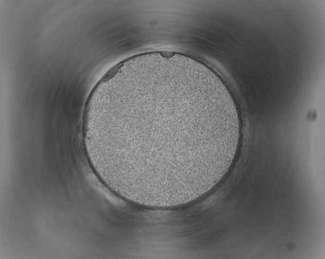 X0000110701236200907101213