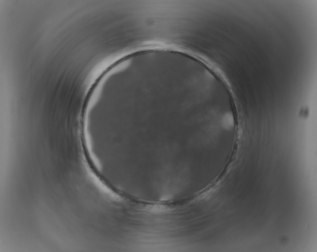 X0000110701239200907101213