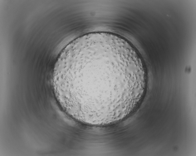 X0000110701241200907101213