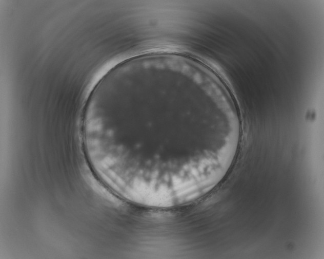 X0000110701243200907101213