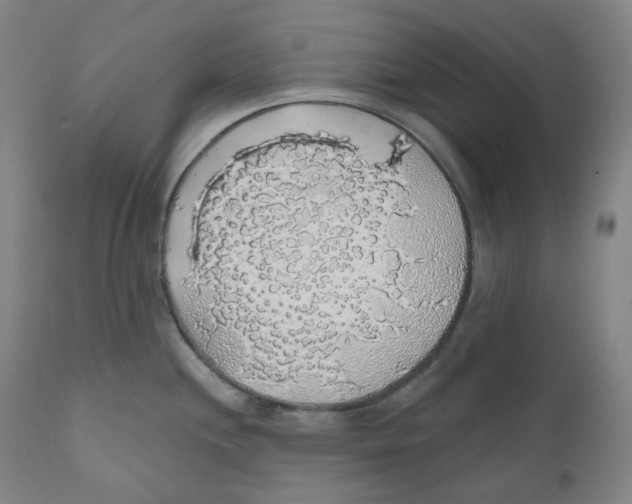 X0000110701244200907101213