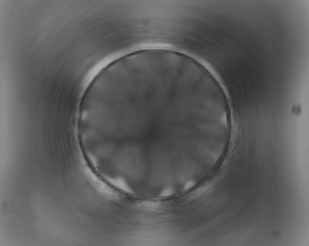 X0000110701245200907101213