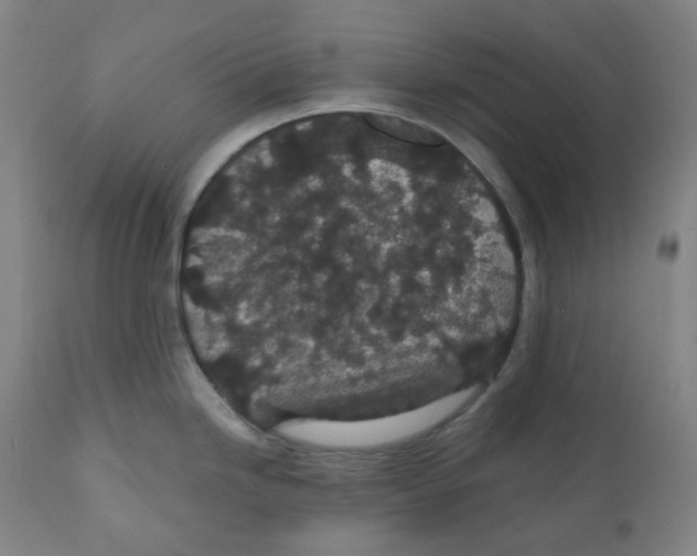 X0000110701246200907101213