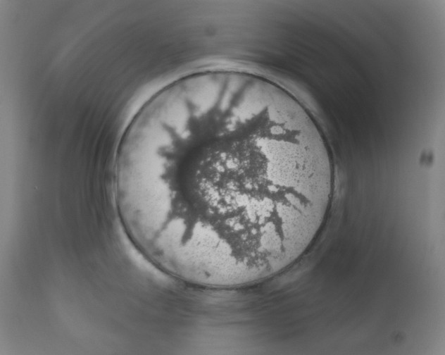 X0000110701247200907101213