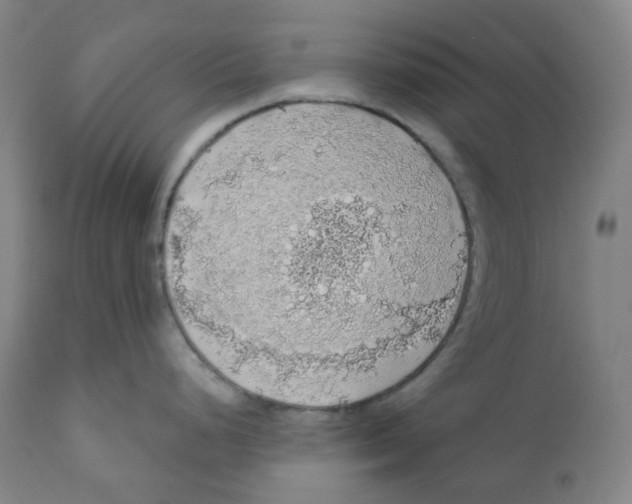 X0000110701248200907101213