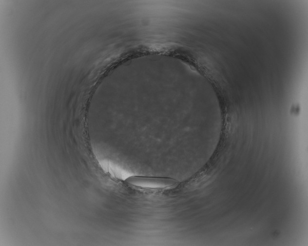 X0000110701249200907101212